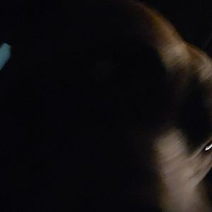 Meet your Posher, Wayne